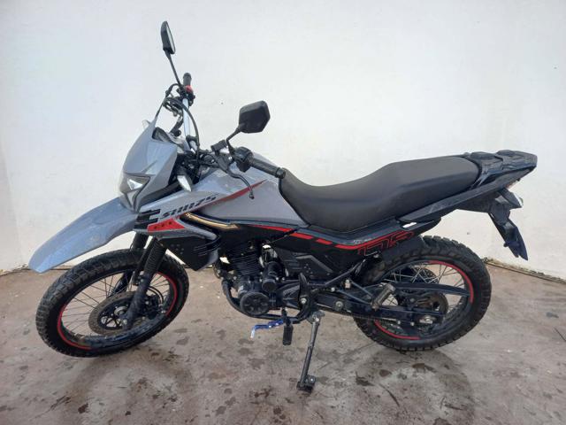 SHINERAY SHI 175 - 2025/2026