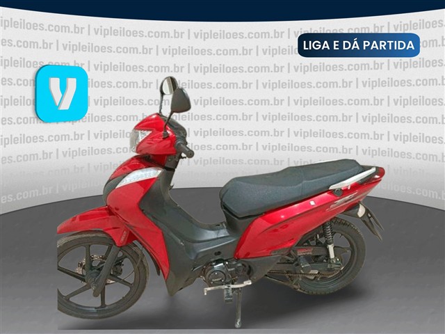 SHINERAY XY125-6A - 2025/2025