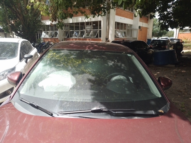 Imagem 7