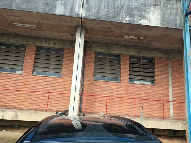 Imagem 15