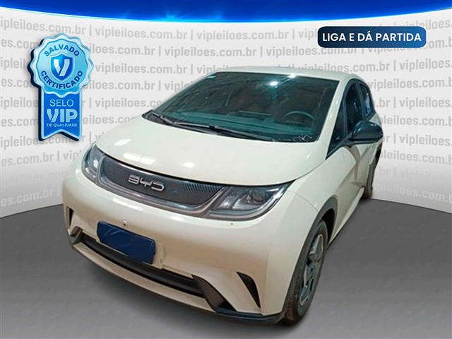 BYD Dolphin GS 180EV 2024