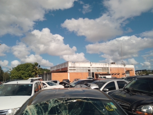 Imagem 19