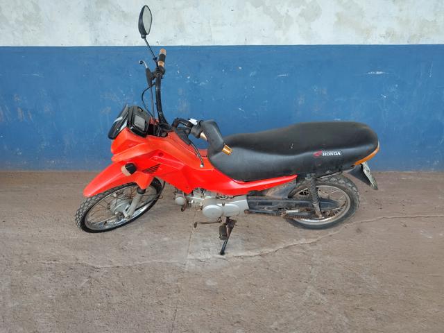 Honda POP100 2013