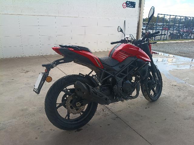 SHINERAY XY250-5A - 2024/2025 — foto 4 de 16