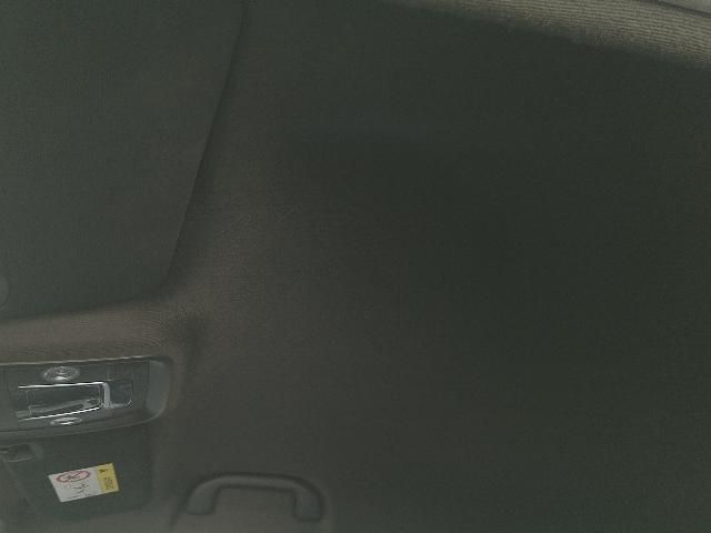 Foto 18 de 35: DOLPHIN MINI GS5EV - 2024/2025