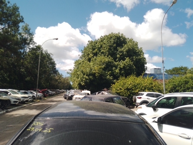 Imagem 17
