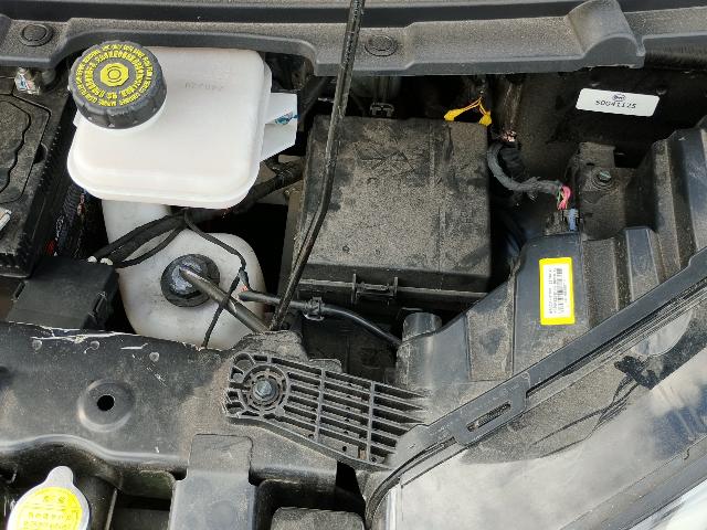 Foto 30 de 35: DOLPHIN MINI GS5EV - 2024/2025