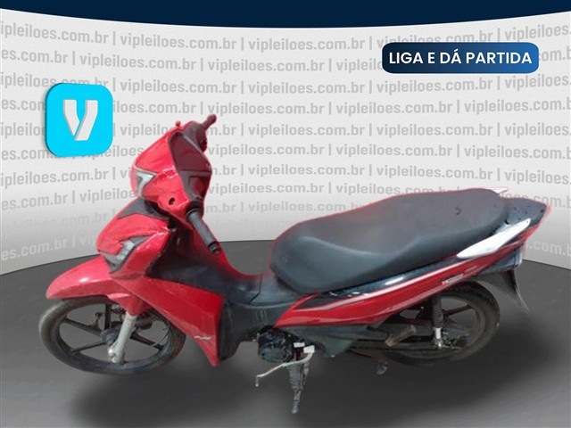 SHINERAY XY125-6A - 2025/2025
