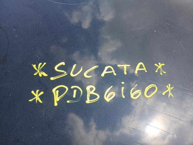 Imagem 54