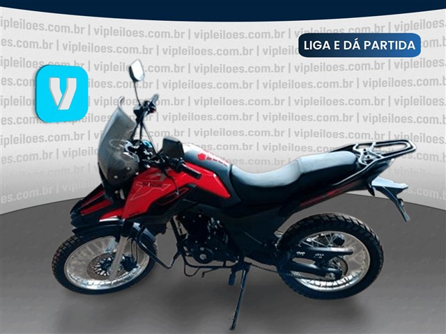 SHINERAY SHI 175 - 2025/2026