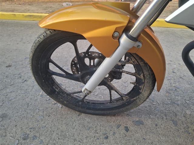 Imagem 6