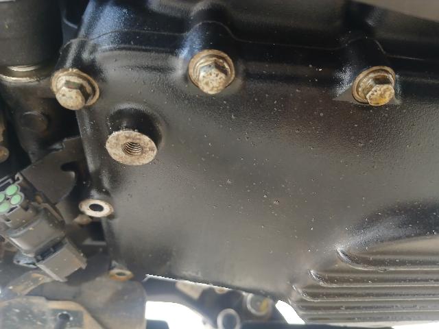 Foto 14 de 24: SHOTGUN 650 - 2025/2026