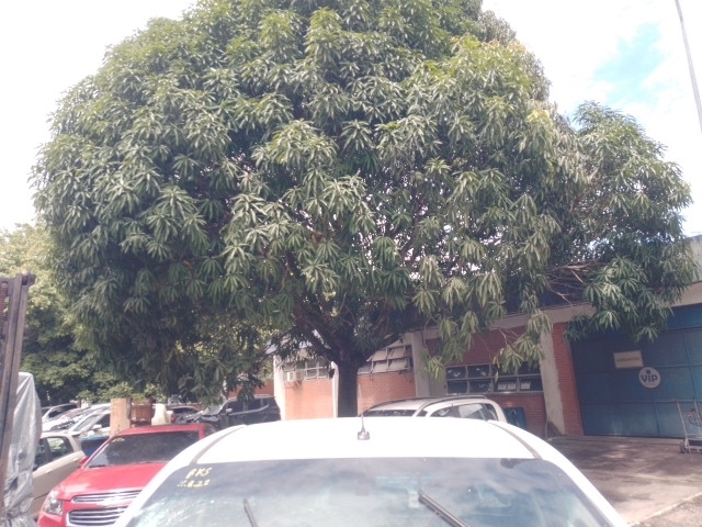 Imagem 15