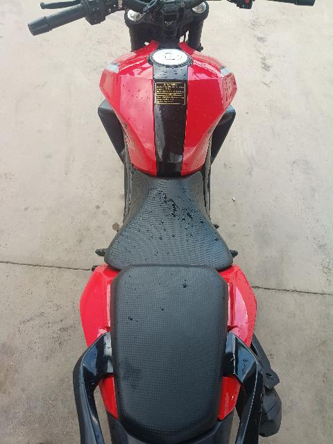 SHINERAY XY250-5A - 2024/2025 — foto 8 de 16