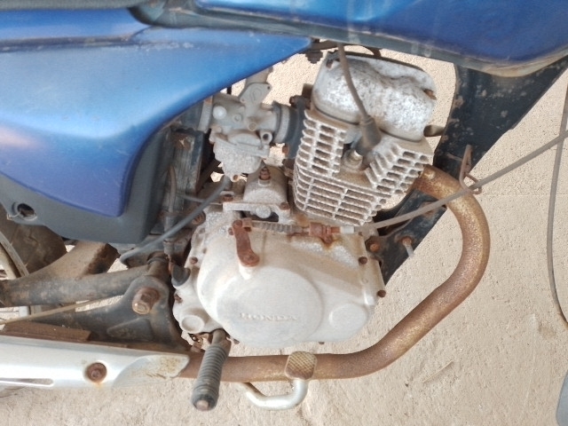 Imagem 15
