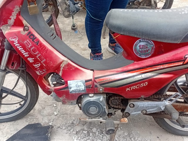 Charming Bull KRC50 2012