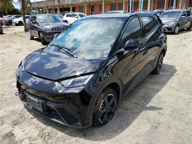 BYD DOLPHIN MINI GS5EV - 2024/2025