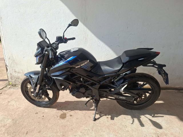 SHINERAY XY250-5A - 2025/2025