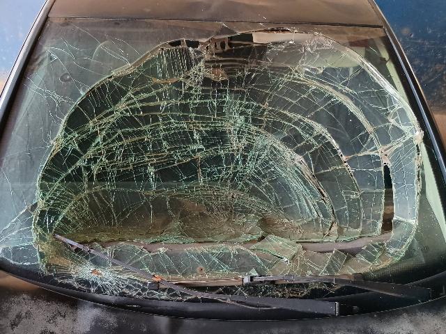 VOLKSWAGEN FOX 1.0 - 2006/2006 — foto 3 de 27