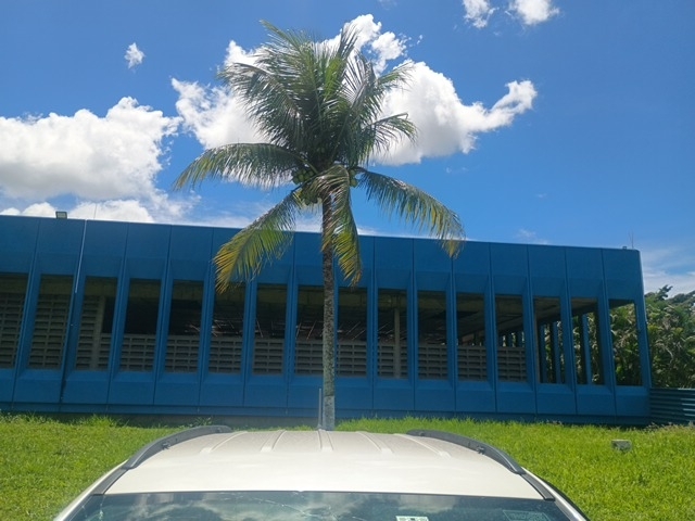 Imagem 22